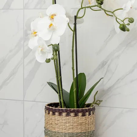 Nowoczesny Z Parkingiem W Gdansku By Renters *