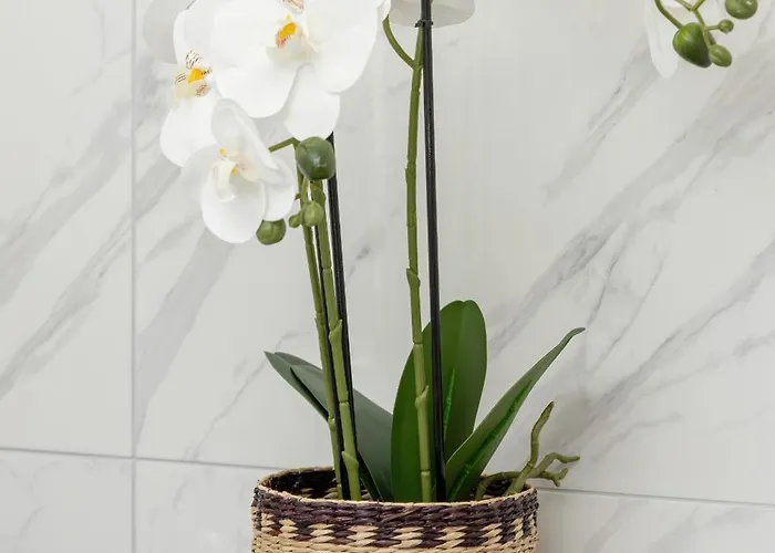 Nowoczesny Z Parkingiem W Gdansku By Renters *